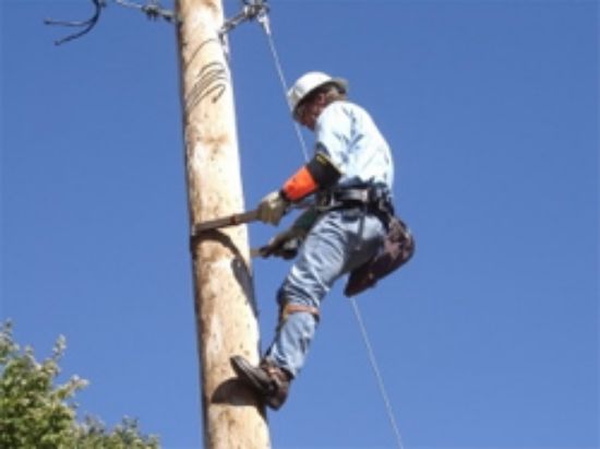 Picture of Fall Protection Wooden Pole